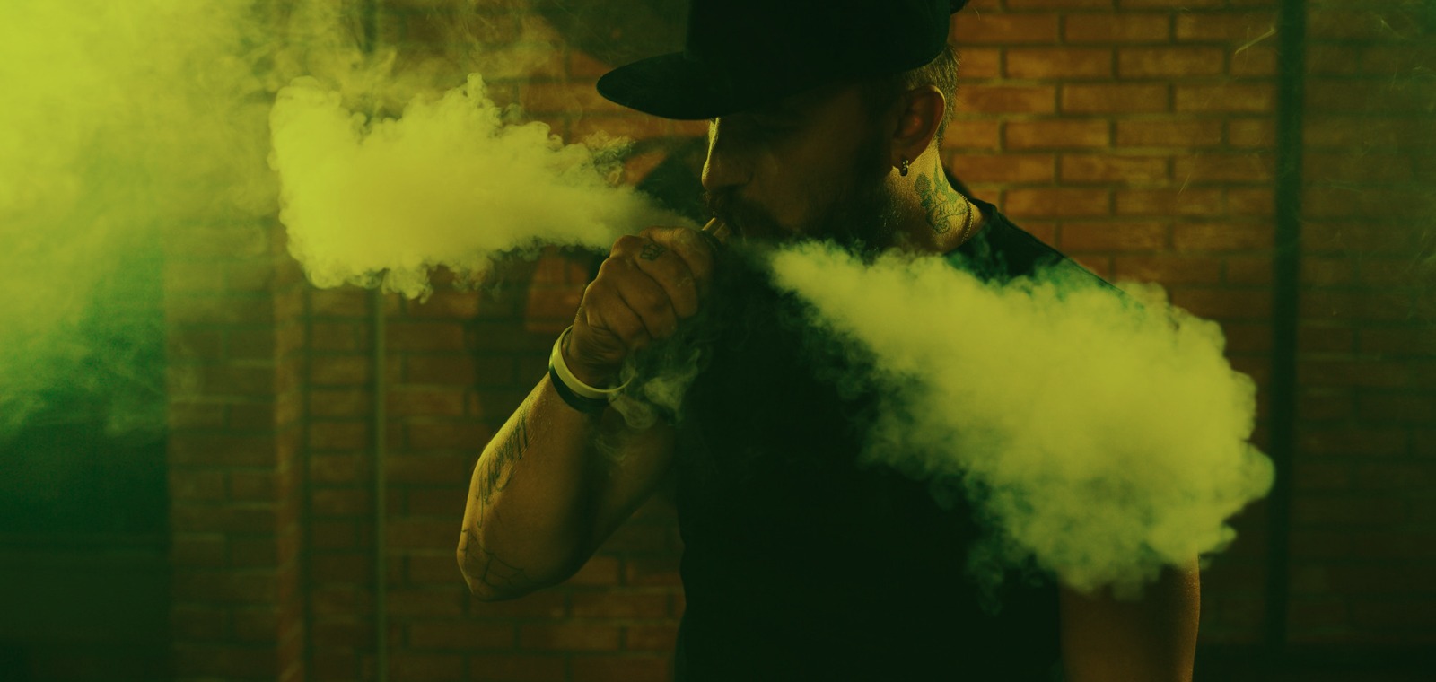 Desechables premium en CDMX